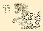 芥子园画谱 花卉