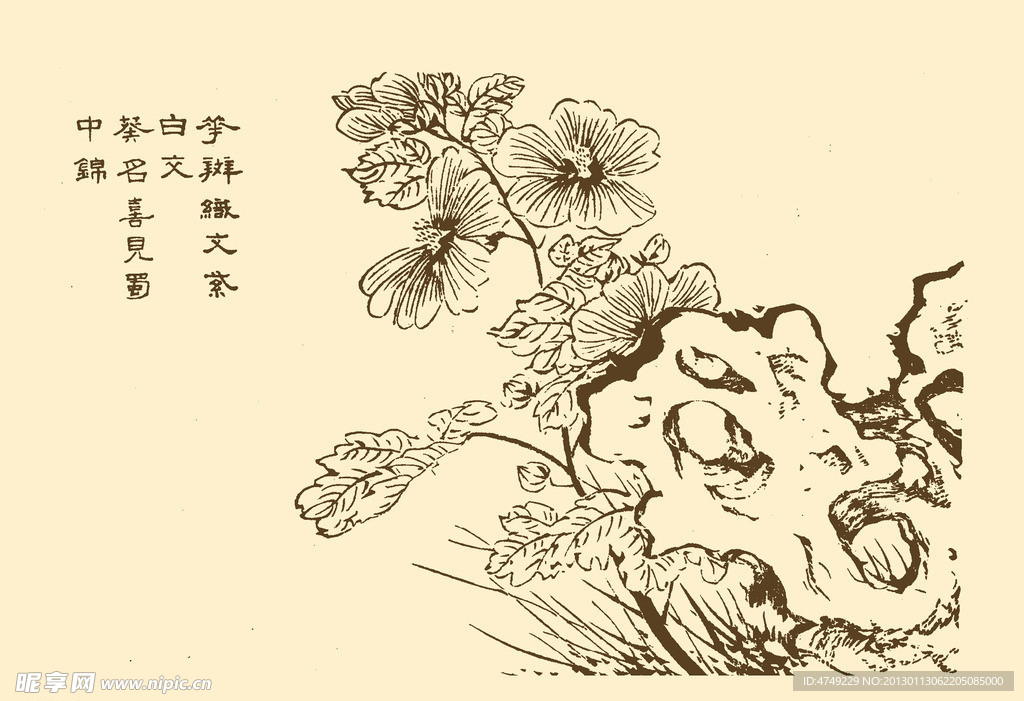 芥子园画谱 花卉