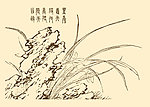芥子园画谱 花卉