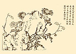 芥子园画谱 花鸟