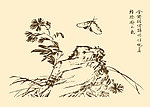 芥子园画谱 花鸟