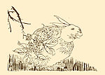 芥子园画谱 翎毛