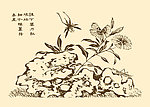 芥子园画谱 花鸟