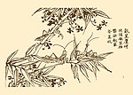 芥子园画谱 花卉