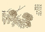芥子园画谱 花卉