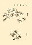 芥子园画谱 花卉