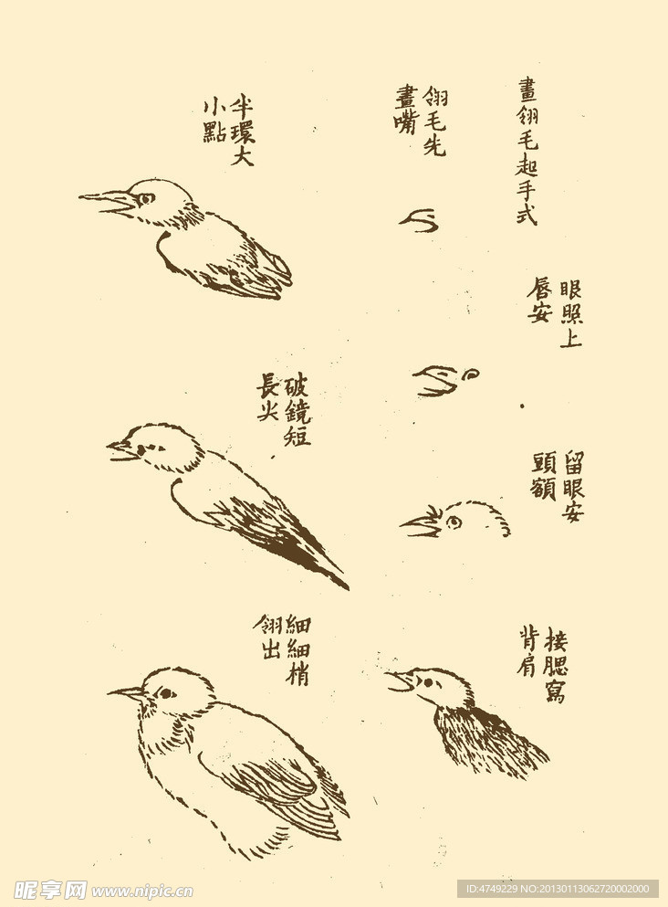 芥子园画谱 翎毛