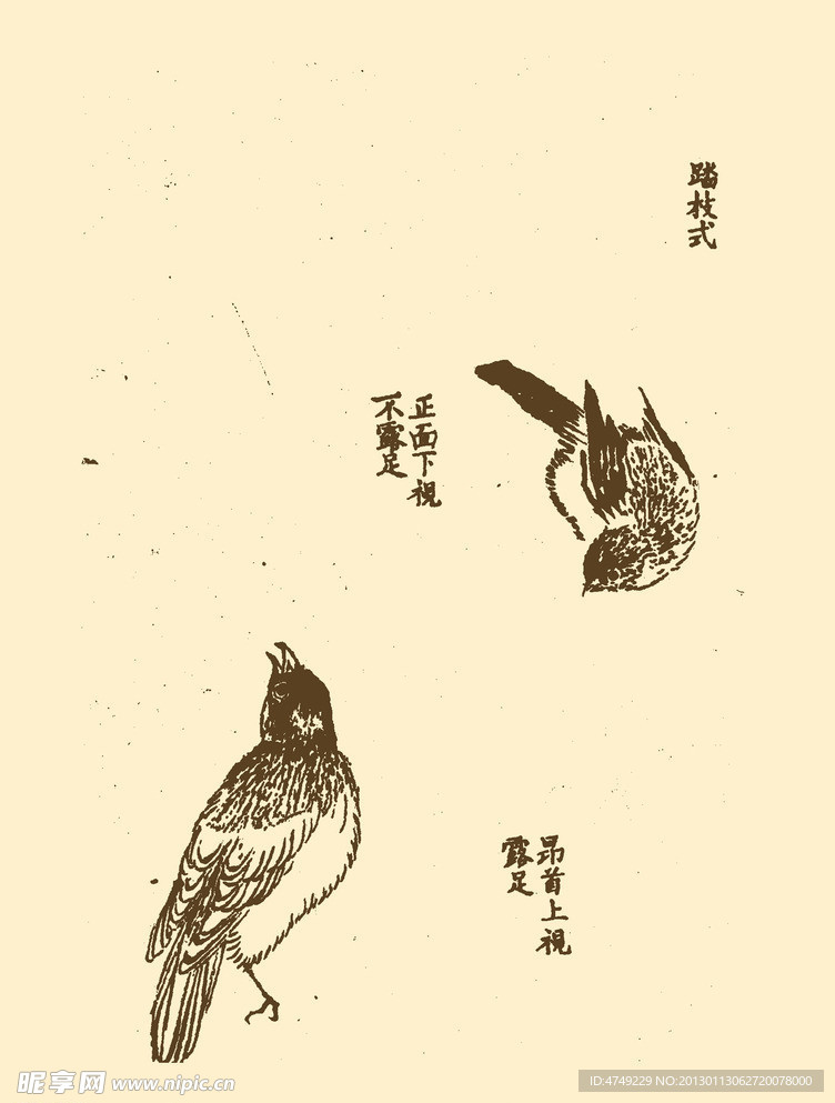 芥子园画谱 翎毛