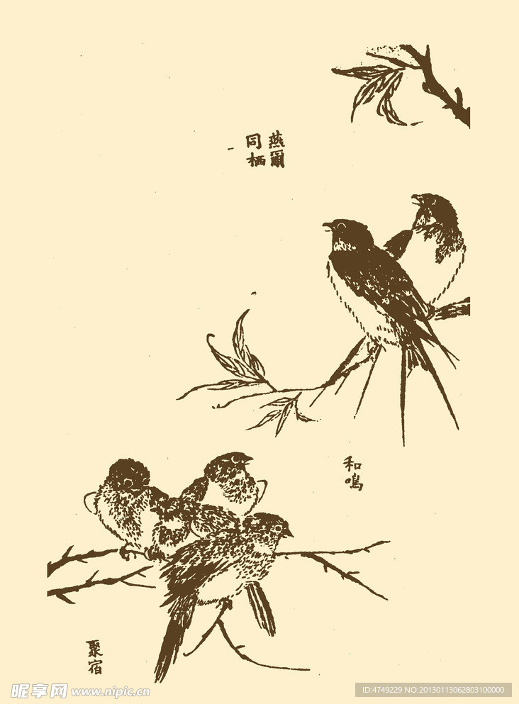 芥子园画谱 花鸟