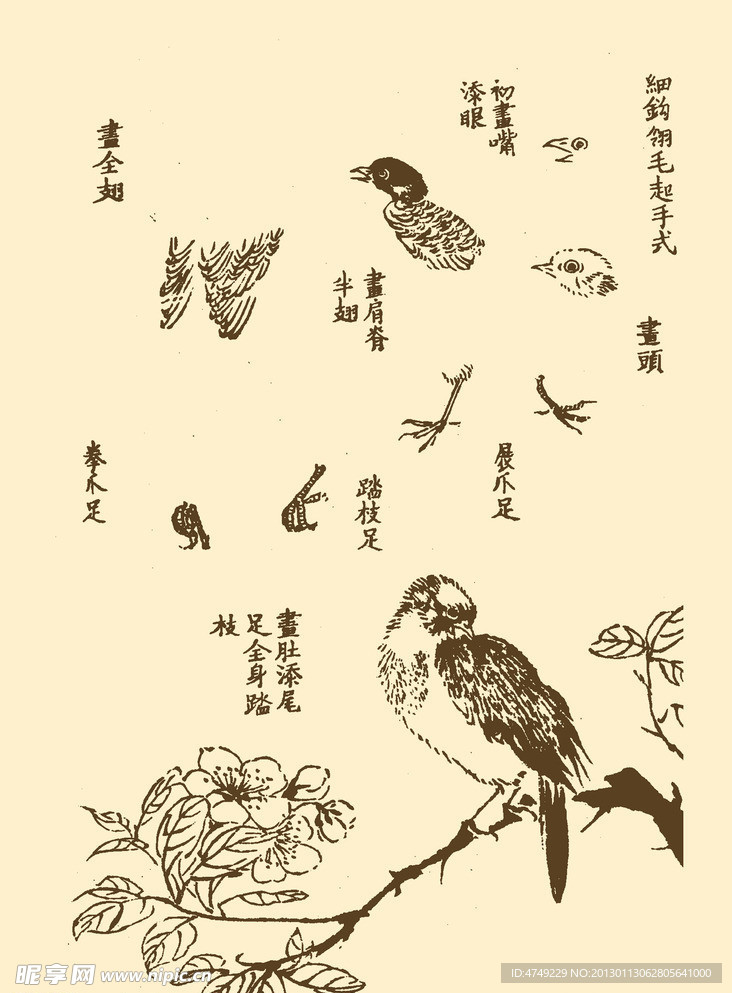 芥子园画谱 翎毛