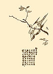 芥子园画谱 花鸟