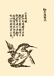 芥子园画谱 翎毛