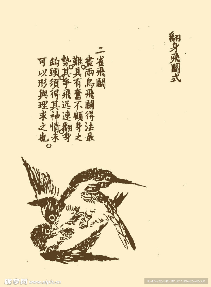 芥子园画谱 翎毛