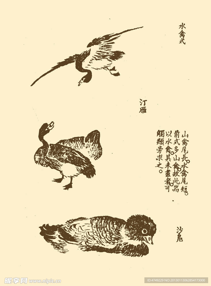 芥子园画谱 翎毛