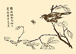 芥子园画谱 花鸟