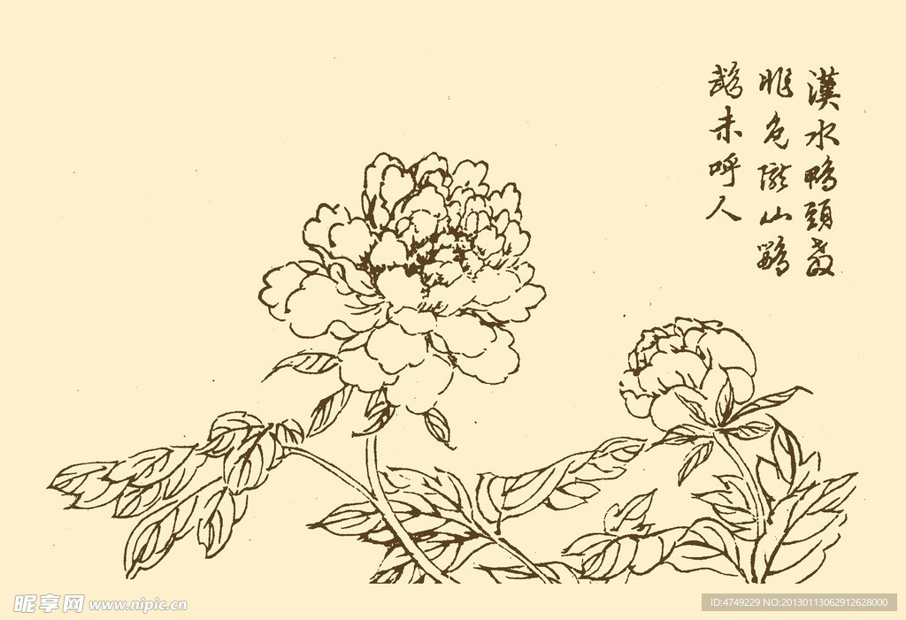 芥子园画谱 花鸟