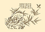 芥子园画谱 花卉