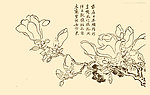 芥子园画谱 花卉