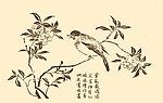 芥子园画谱 花鸟