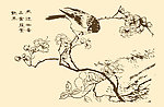 芥子园画谱 翎毛