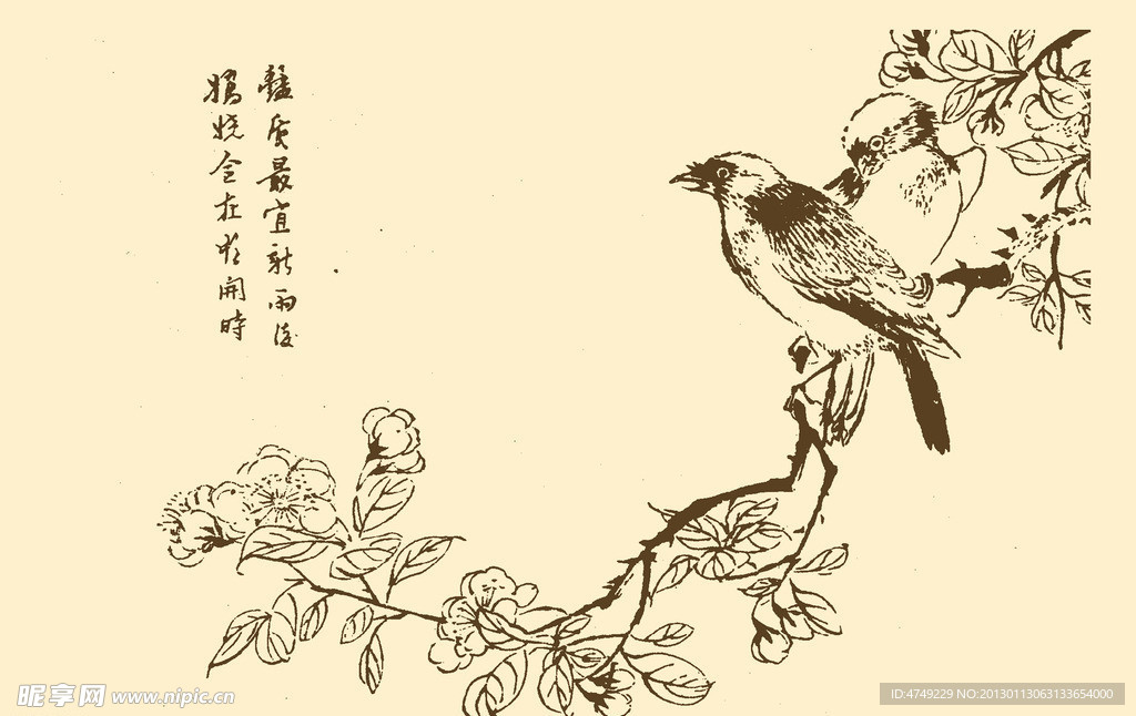 芥子园画谱 翎毛