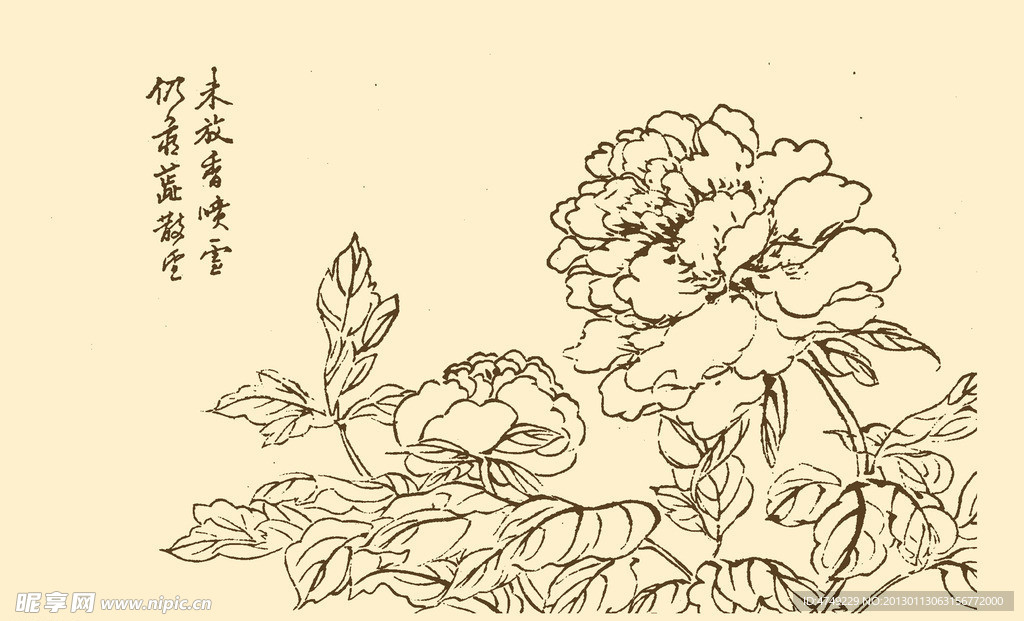 芥子园画谱 花卉