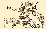芥子园画谱 花卉