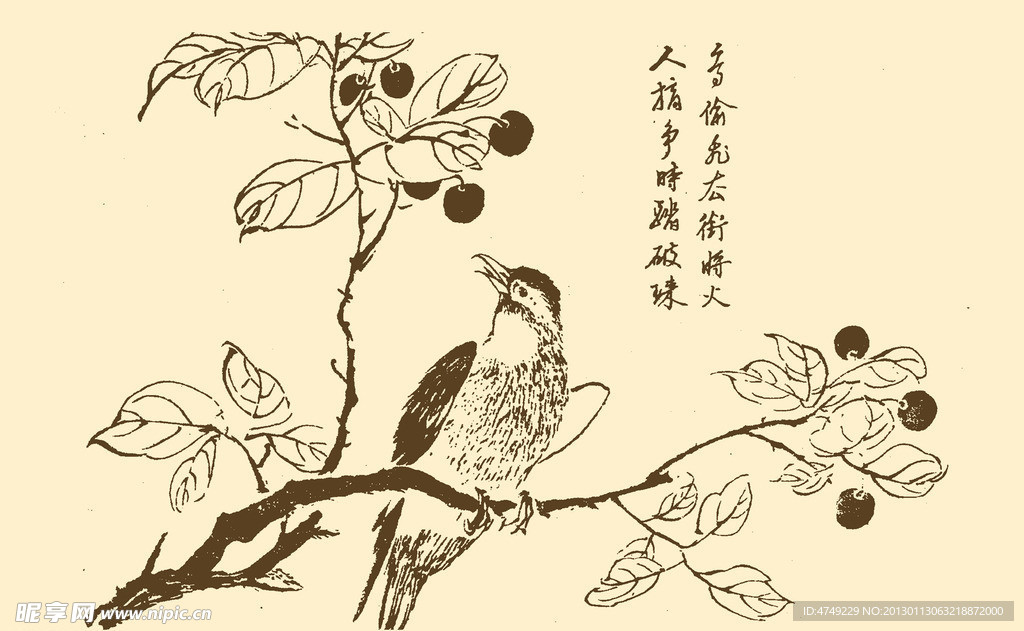 芥子园画谱 翎毛