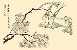 芥子园画谱 翎毛