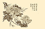 芥子园画谱 花卉