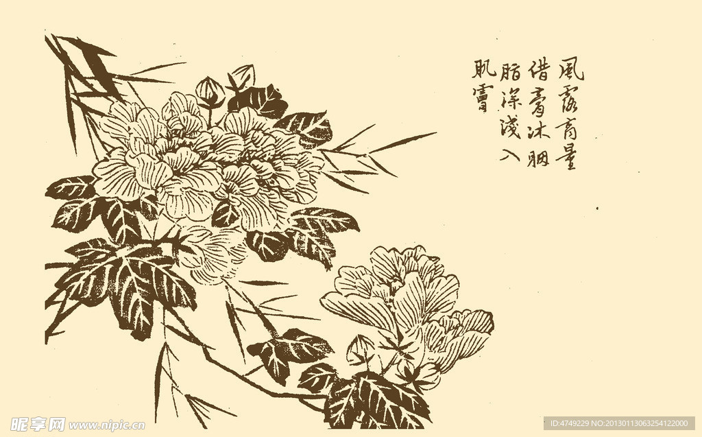 芥子园画谱 花卉