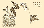 芥子园画谱 翎毛