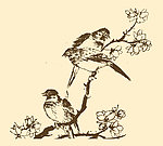 芥子园画谱 翎毛