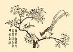 芥子园画谱 翎毛