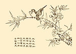 芥子园画谱 翎毛