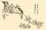 芥子园画谱 翎毛