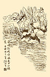 芥子园画谱 翎毛