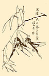 芥子园画谱 翎毛