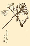 芥子园画谱 翎毛