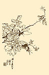 芥子园画谱 花卉