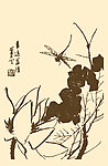 芥子园画谱 花卉
