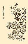 芥子园画谱 花卉