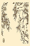 芥子园画谱 花卉