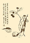 芥子园画谱 翎毛
