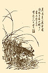 芥子园画谱 翎毛