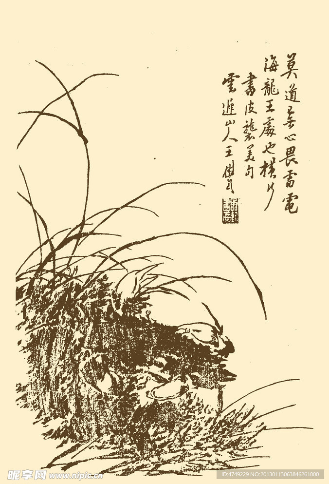 芥子园画谱 翎毛