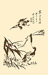 芥子园画谱 翎毛