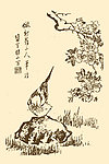 芥子园画谱 翎毛