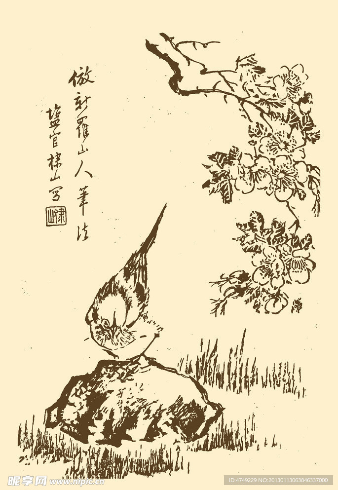 芥子园画谱 翎毛