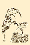 芥子园画谱 翎毛
